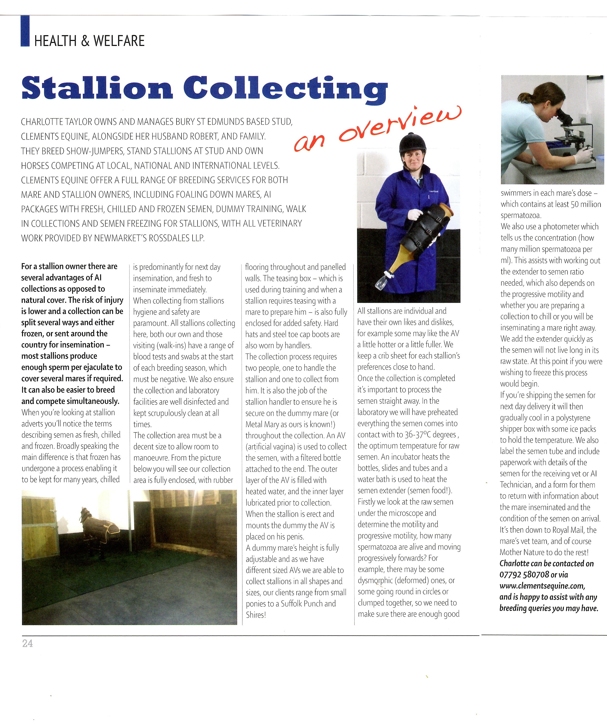 Article on collecting stallions for AI written for Absolute Horse magazine